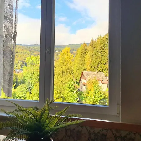 Apartment Rokytnice U Vleku *